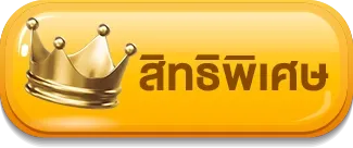 สิทธิพิเศษ